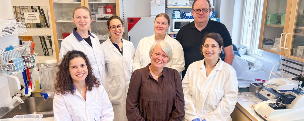Seven researchers in a laboratory, several wearing white lab coats.