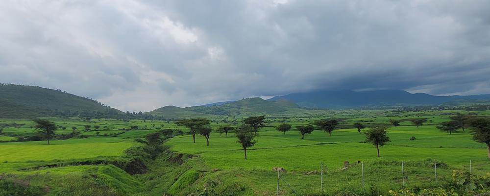 Frodigt och grönt landskap i regionen Oromia, Etiopien.