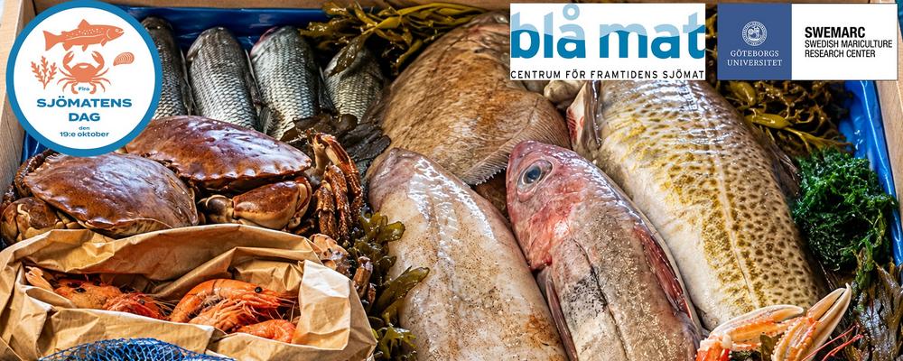 Låda med olika fiskarter