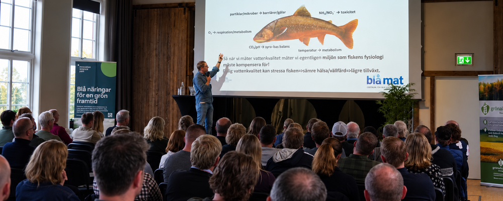 Forskare presenterar inför åhörare