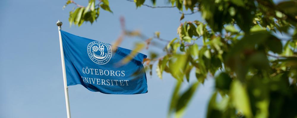 Göteborgs universitets blå flagga fladdrar i vinden