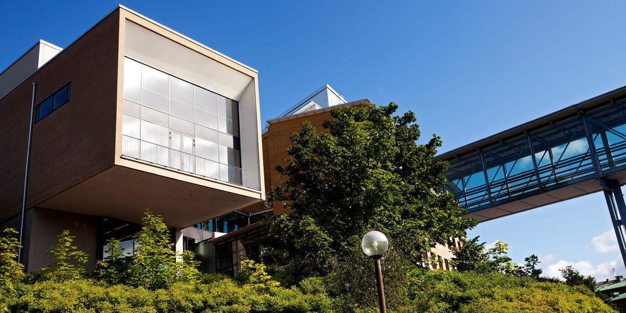 Sahlgrenska Academy