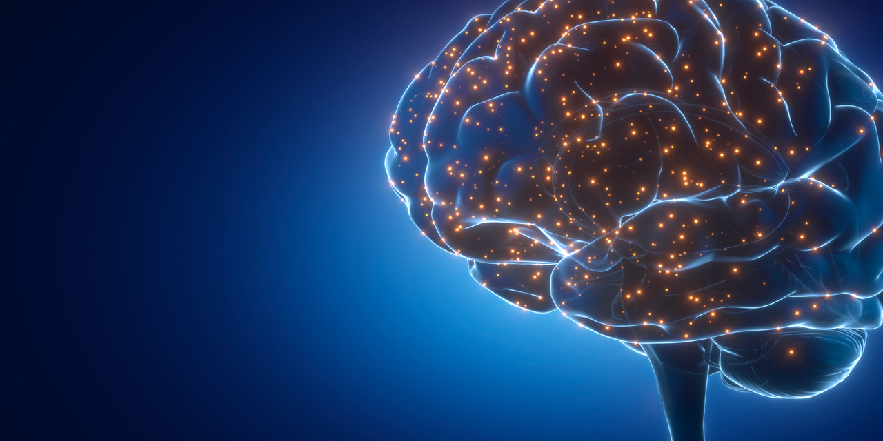Manic episodes in bipolar disorder linked to abnormal brain changes |  University of Gothenburg