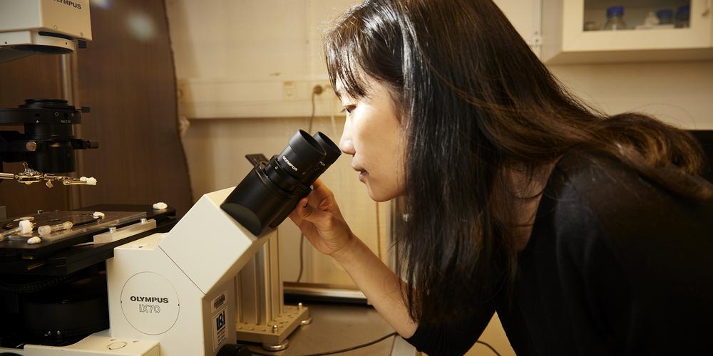 Nhu Phan sitter vid ett mikroskop