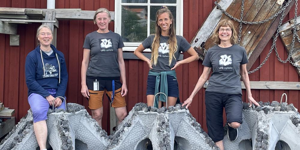 People working with the project