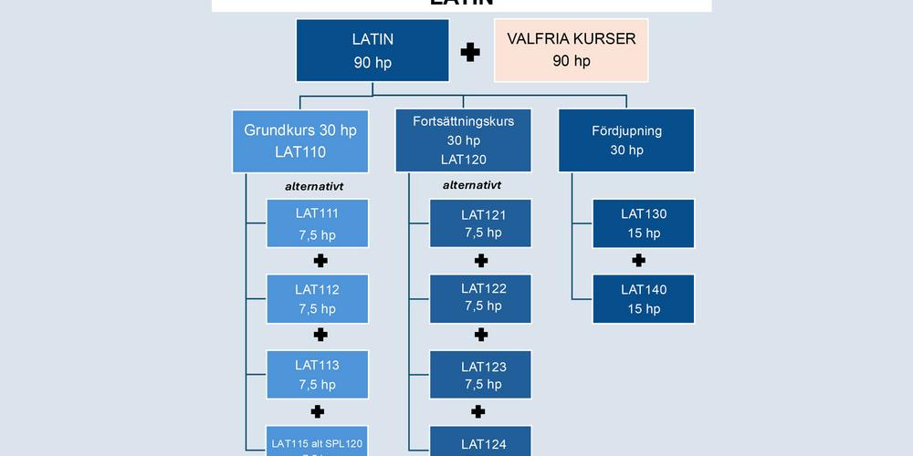 Rekommenderad studiegång för kandidatexamen i latin