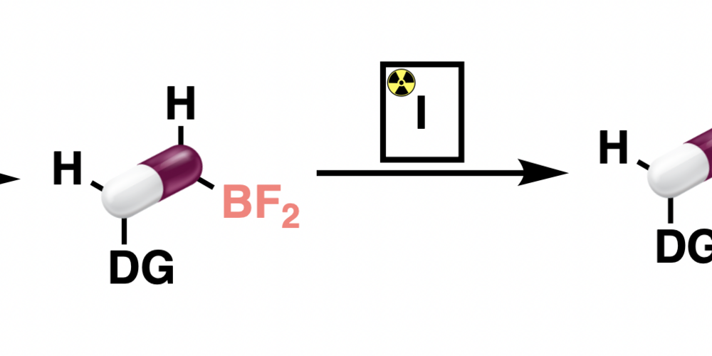 En schematisk illustration över hur en borförening knyts till en läkemedelsmolekyl