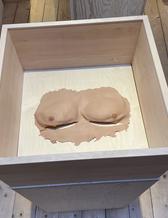 Bild på verket Male breast av Maja Gunn