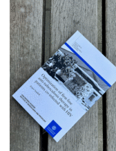 Jesper Sundell's thesis