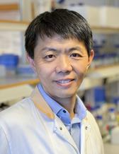 Photo of Xuefeng Zhu in the lab