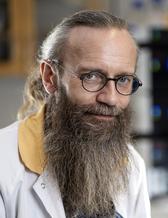 Portrait picture man with a beard and round glasses