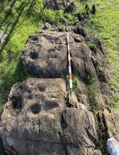 Sten med h&auml;llristningar