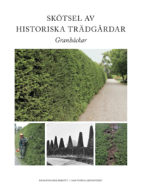 Bilden visar omslaget till skriften Skötsel av historiska trädgårdar: Granhäckar