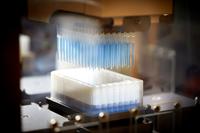 test tubes 