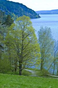 Sjön Aspen vid Jonsereds herrgård