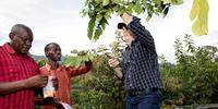 Resaerchers looking at tree in Rwanda