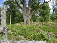 Kulturreservatet Stensjö by i Småland - hårdvallsäng