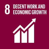 Sustainable Development Goal 8 (SDG 8)