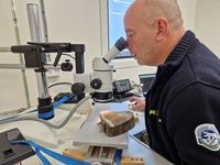 En forskare använder ett mätinstrument för att mäta årsringar på drivved