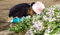 Child kneeing by flowers