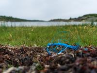 Rubbish on ground with lake in background