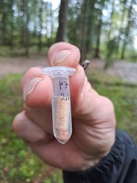 Provtagning i skogsprojekt