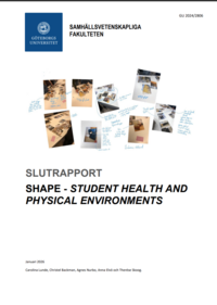 Bild av omslaget på rapporten