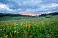 Sommaräng 