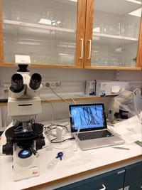 Mikroskop och en skärm som visar fiberanalys, foto.