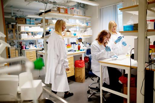 tre kvinnor i ett labb