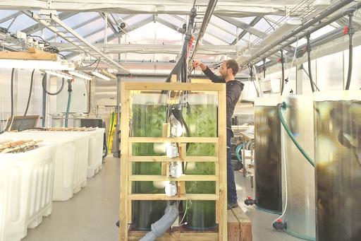 Joel White in front of algae tanks. 