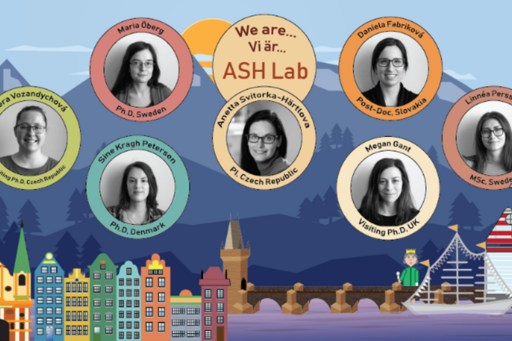 Härtlova lab