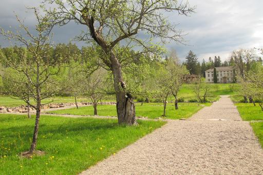 Bilden visar en del av barockträdgården vid Stabergs bergsmansgård, Dalarna, med fruktträd, ängsmark under träden samt grusgångar.