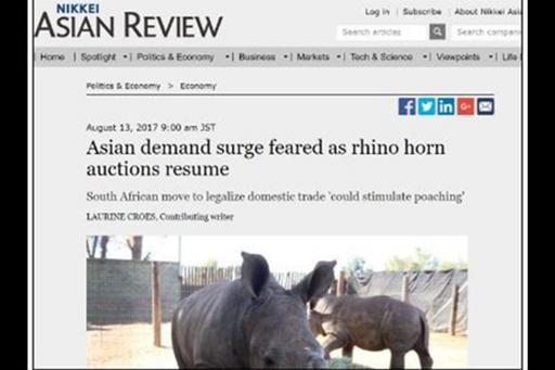 Article about rhino horns