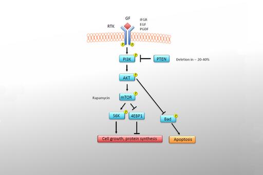 Figure 3 - research in genetics of melanoma