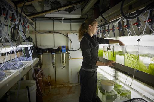 Woman in front of seaweed tank.