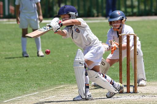 Boys playing cricket
