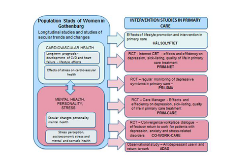 Graf som visar hur epidemiologiska forskningsresultat överförs till implementering och intervention i primärvården.