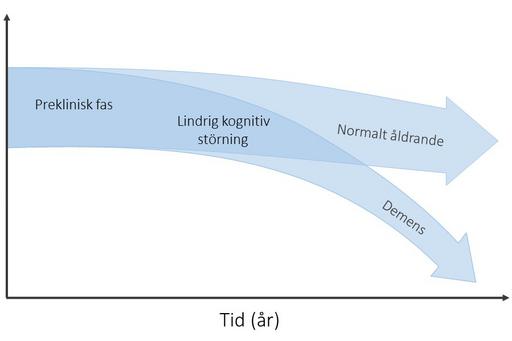 Graf över kognitiv funktion, som visar utveckling över tid för normalt åldrande jämfört med demens.