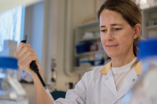 Bilden visar forskaren Anna-Karin Hultgård Ekwall som arbetar i laboratoriet.