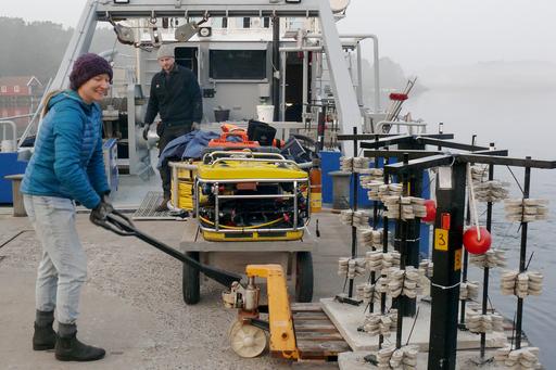 Nina Luckas loads coral larvae settlement panels on research vessel "Nereus".