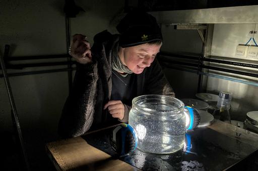 Susanna Strömberg peers into the glass jar that is filled with fertilized coral eggs. 