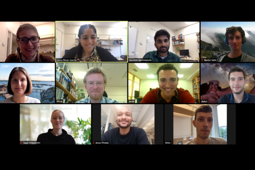 Screenshot of zoom-meeting with OSA 