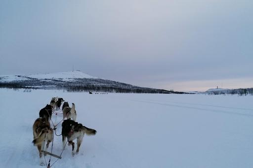 During Rebecca's exchange semester in Sweden she travelled to Lappland