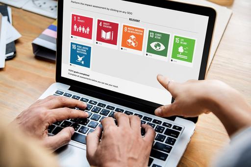 Two people working in front of a laptop with the SDG Impact Assessment Tool in it.