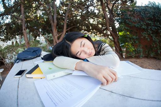 girl sleeping whilst studying outside