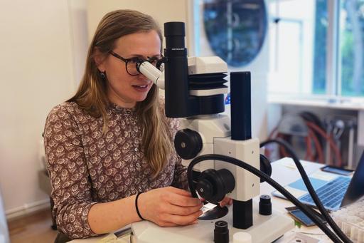 Irina looks in a microscope