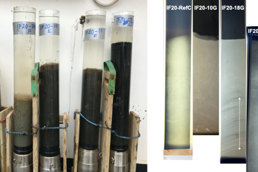 Sediment cores with mud