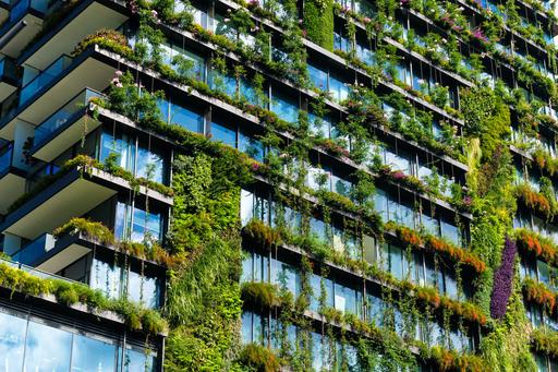 Sustainability Day Solutions