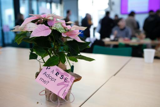 A potted flowe with a card reading "adopt me?".